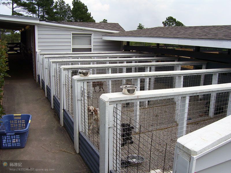 探秘頂級(jí)犬舍 藝術(shù)與科學(xué)的完美交融，顛覆你的想象